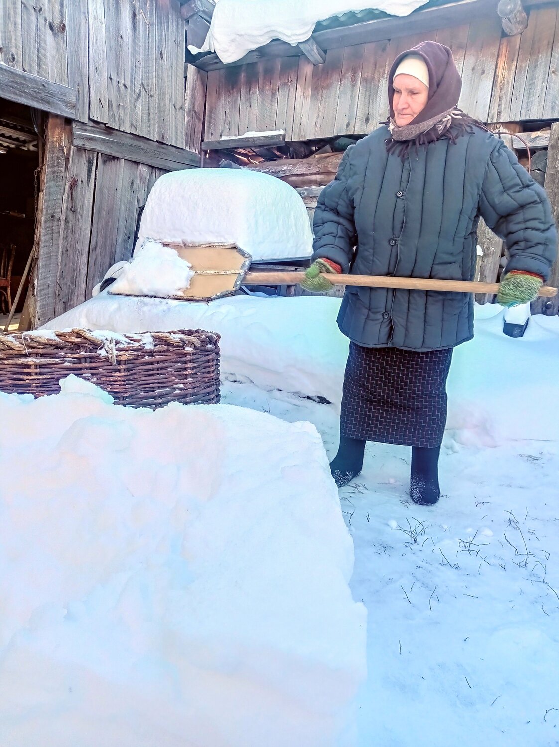 Photo #10228740