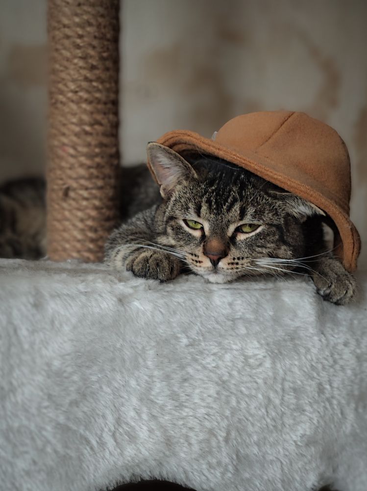 Photograph by Светлана Захарова