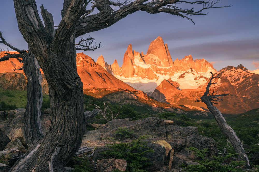 Утренний Фицрой