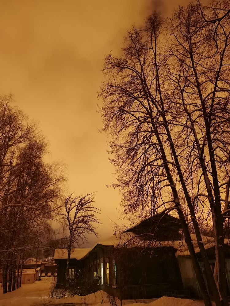 Фотография автора Елена Гордиевская