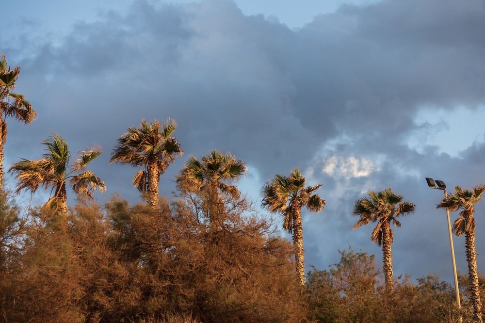 Photograph by klara Neikov