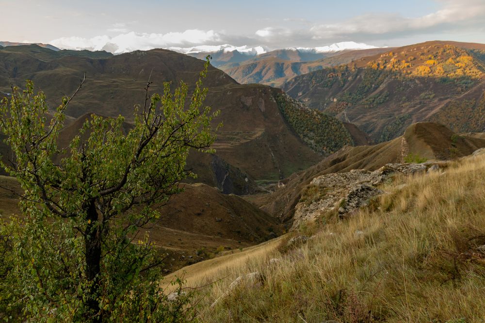 Photograph by Ольга Байгажакова