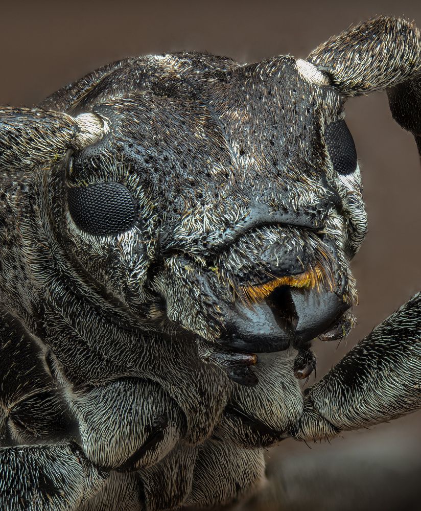 Photograph by Юрий Юрьевич