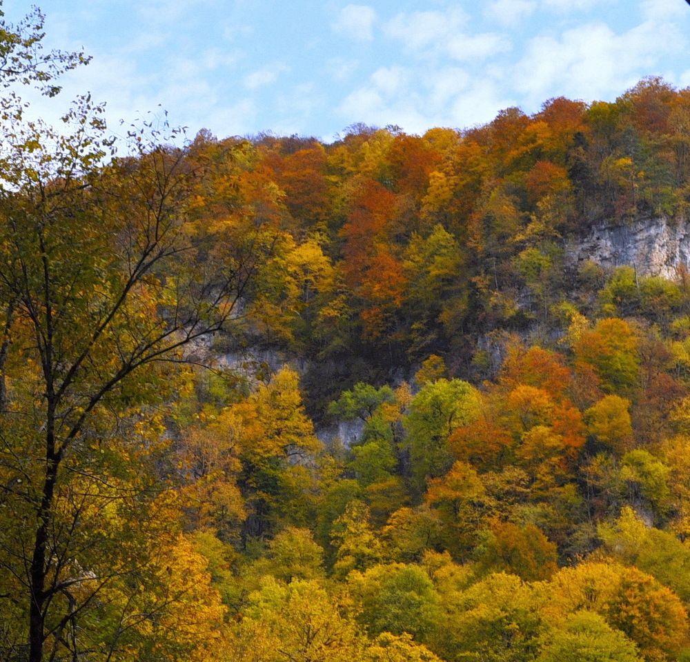 Photograph by Yulia Deimos