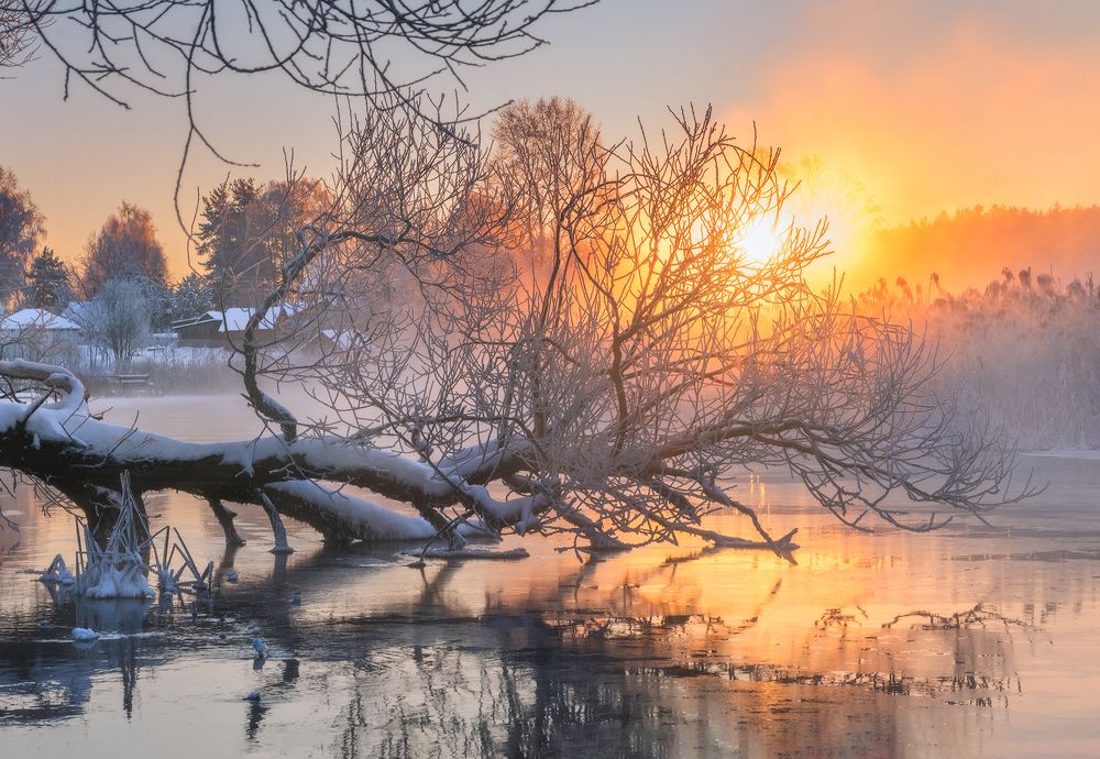 Фотография автора Andrew Kuzmin