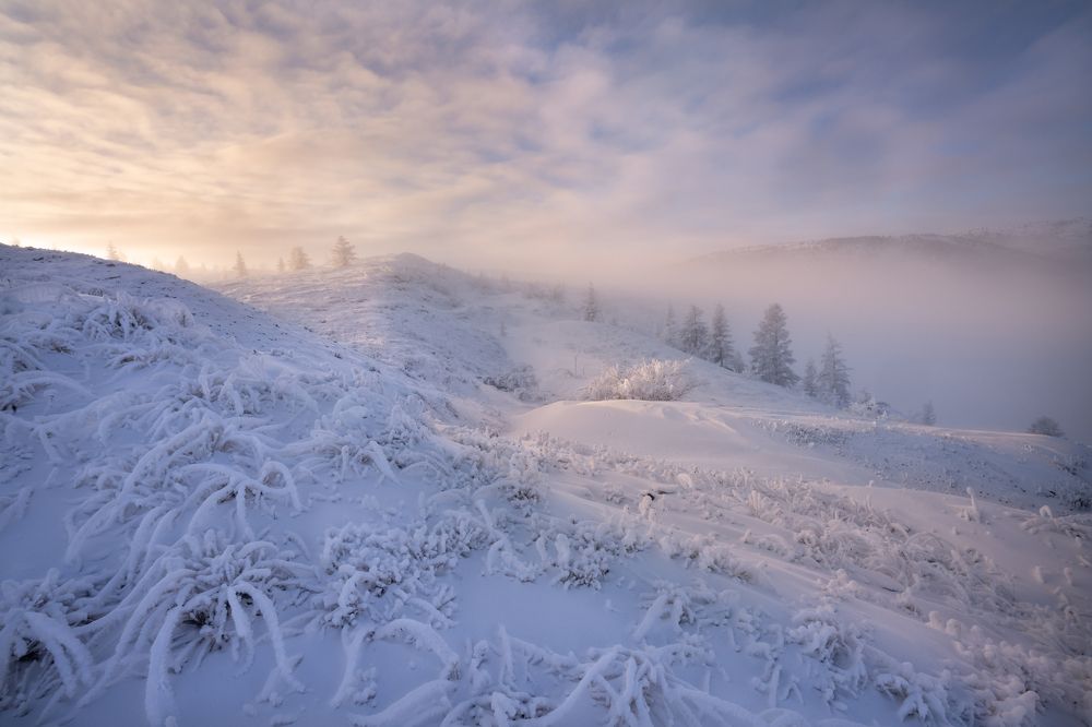 Photograph by Ольга Мусиенко