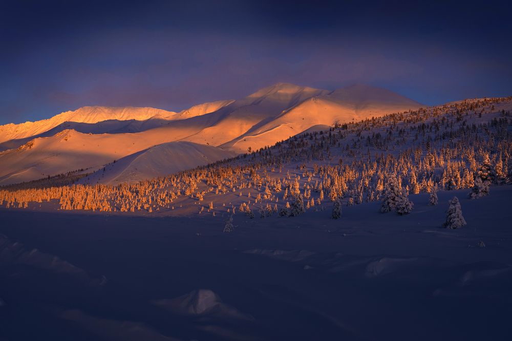 Photograph by Ольга Мусиенко