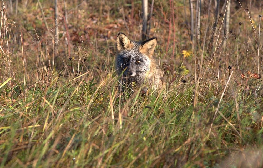 Photograph by Альварис Сукманюк