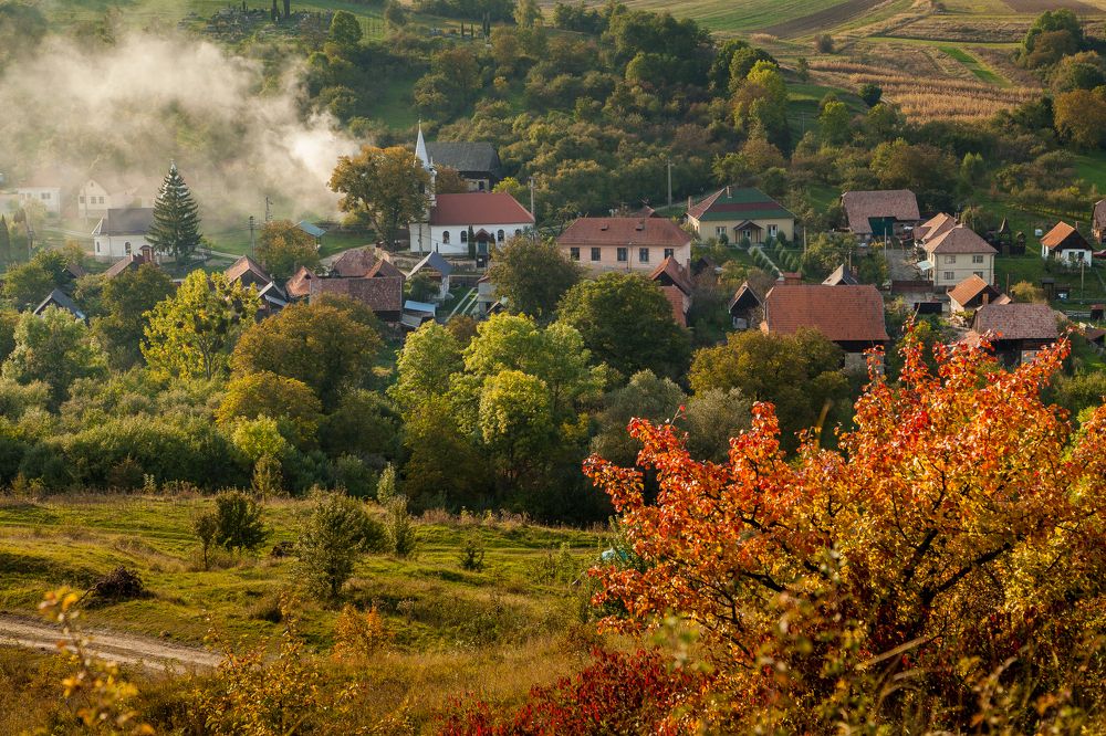 Фотография автора COSMIN GIURGIU