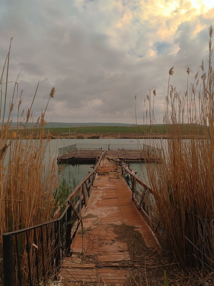 Photograph by Nigar Huseynova