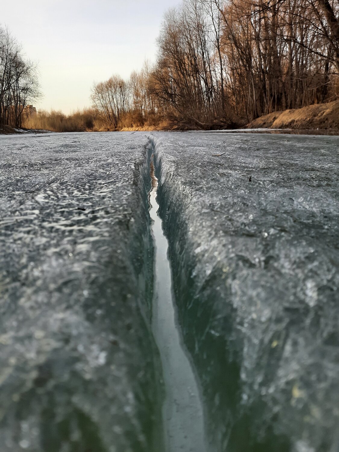 Photo #10229299
