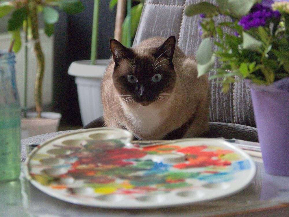 "Я художник, я так вижу"