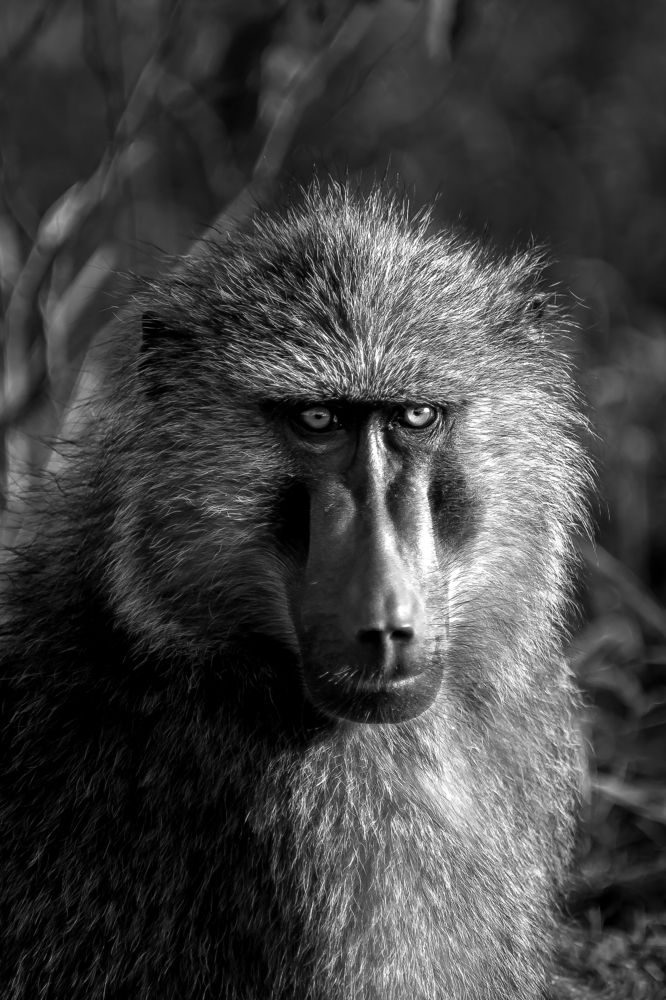 Photograph by Sara Fernandes