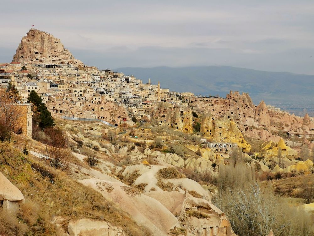 Photograph by Дарья Овчинникова