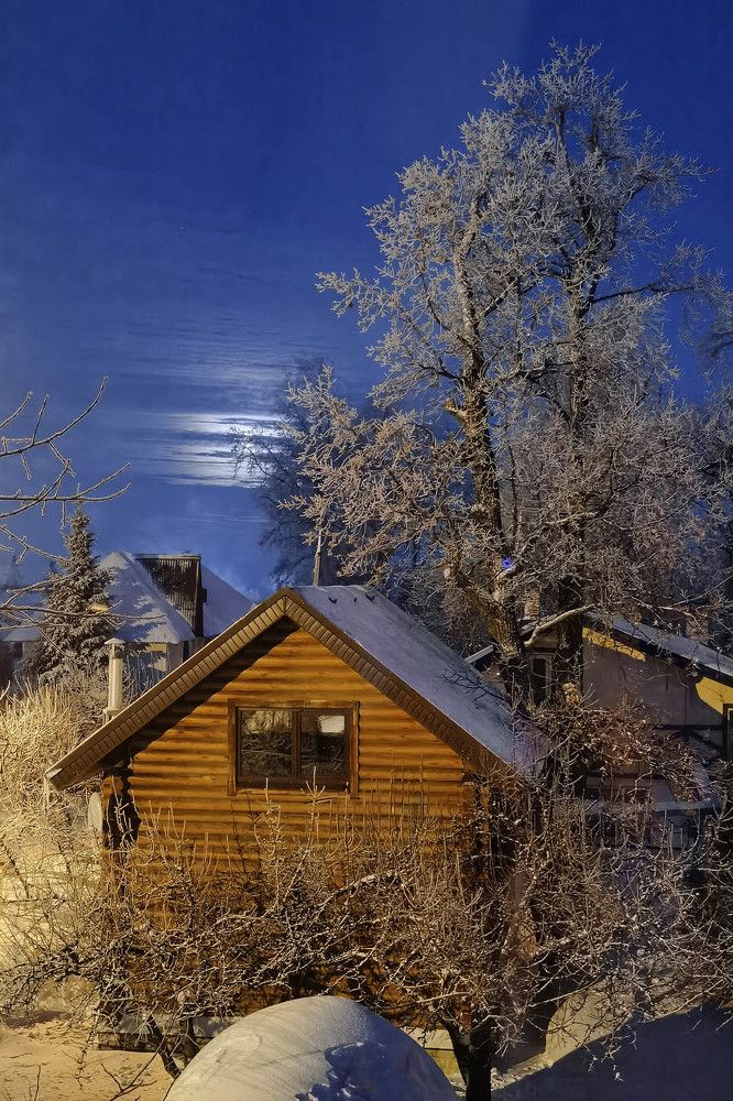 Фотография автора Елена Гордиевская