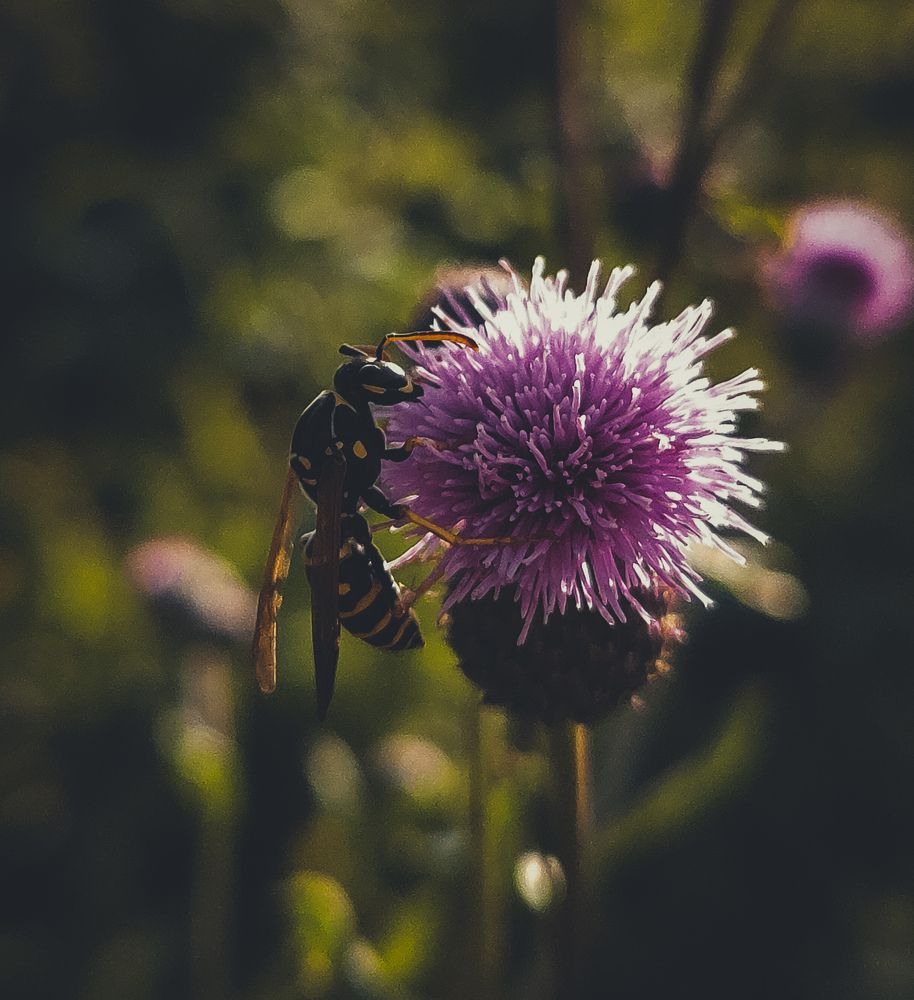 Photograph by Вячеслав Сидоров