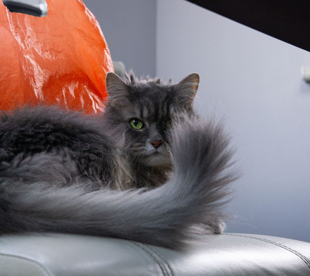 Photograph by Rice Baron