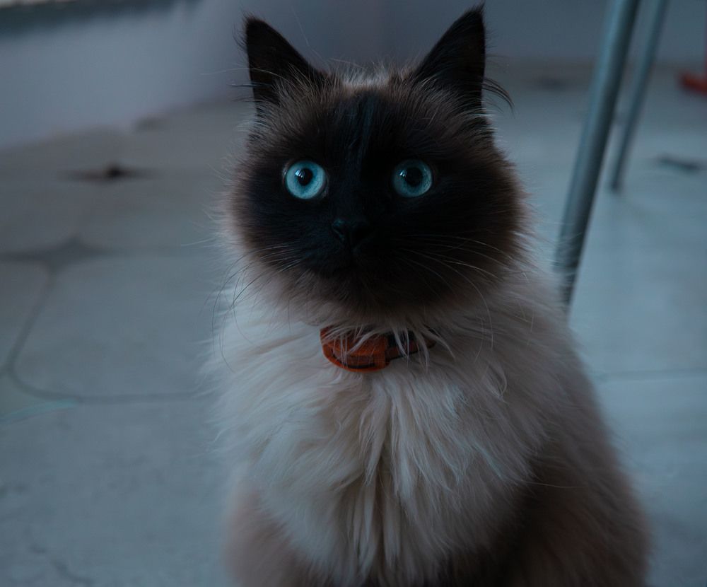 Photograph by Rice Baron