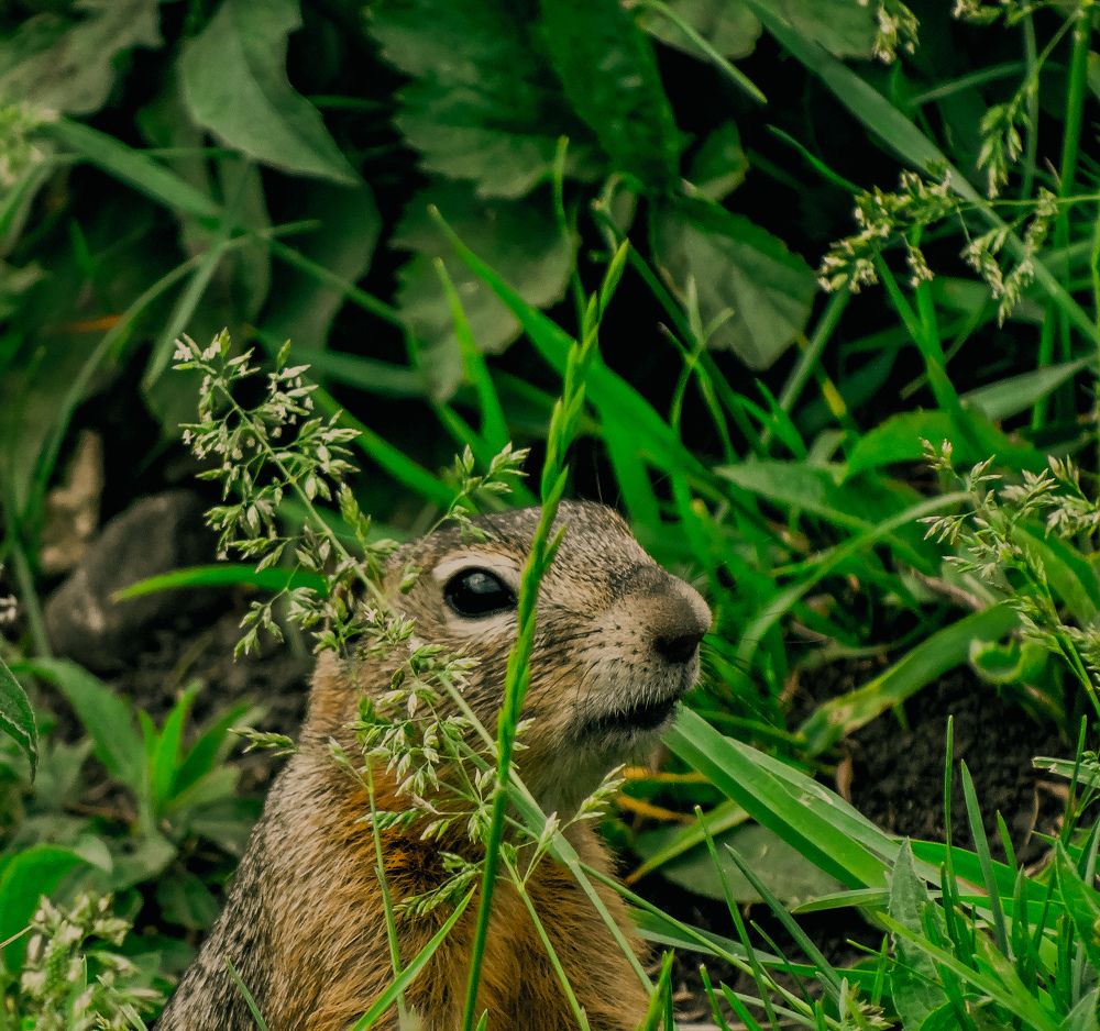 Photograph by Вячеслав Сидоров