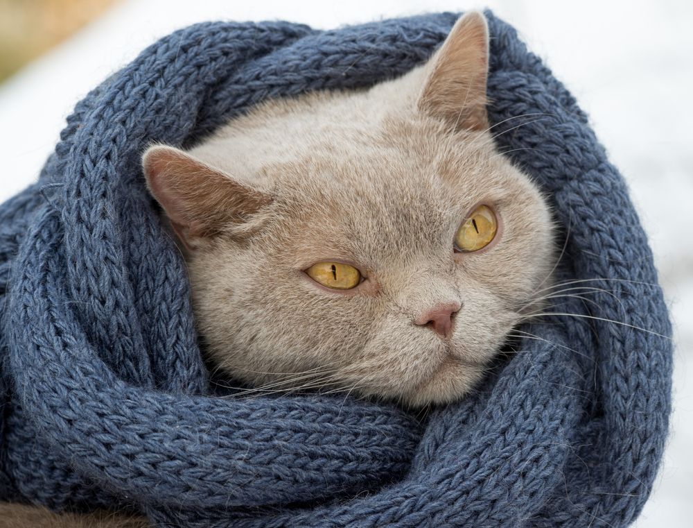 Photograph by Руслан Гончар