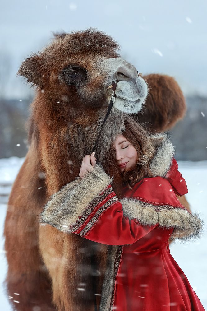 Photograph by Ирина Овчинникова