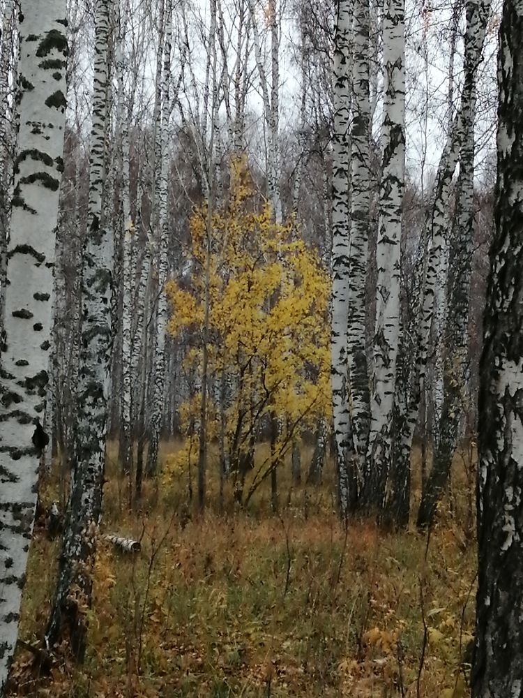 Photograph by Галина Попова
