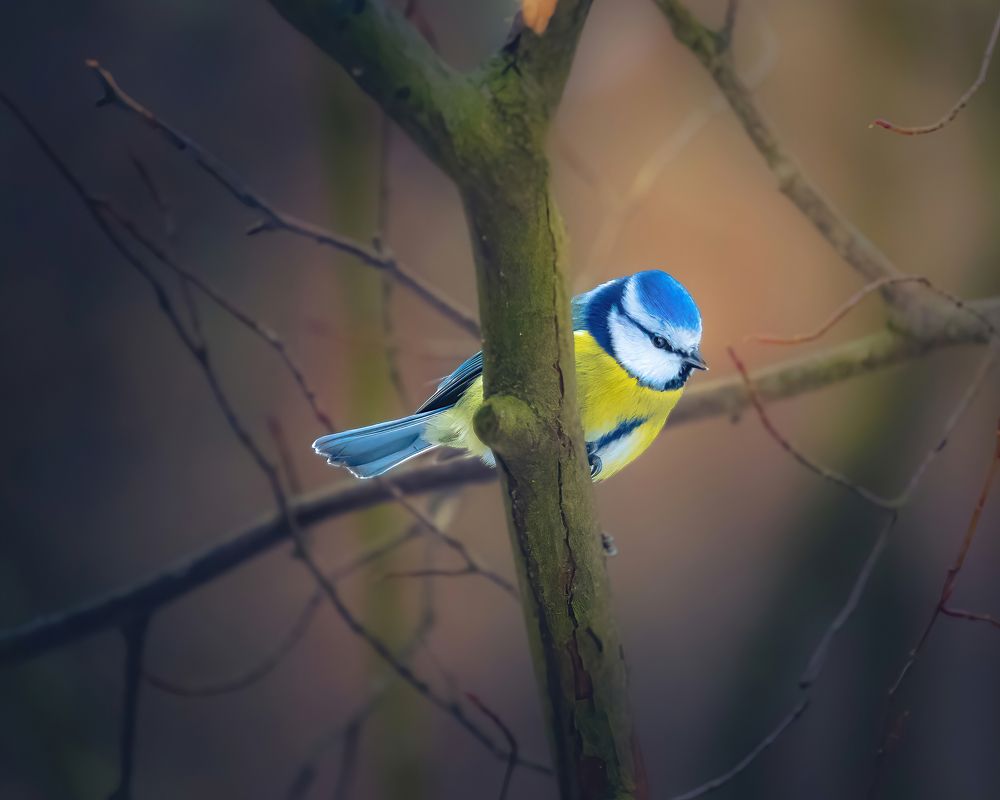 Photograph by Парфентьев Антон