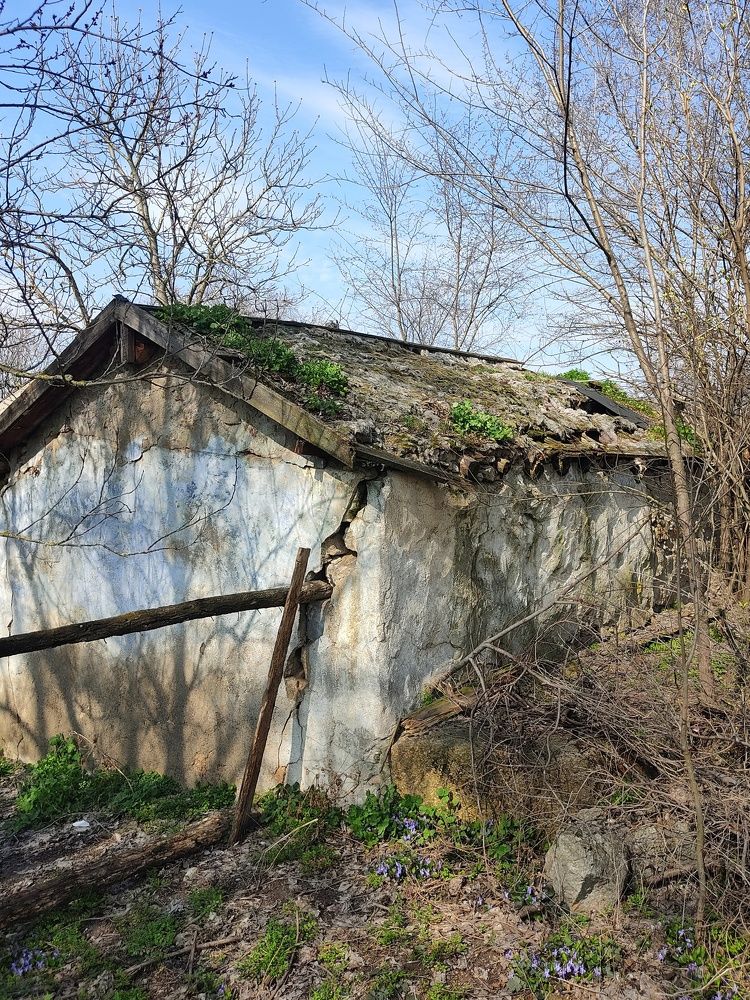 Фотография автора Инга Шевелёва