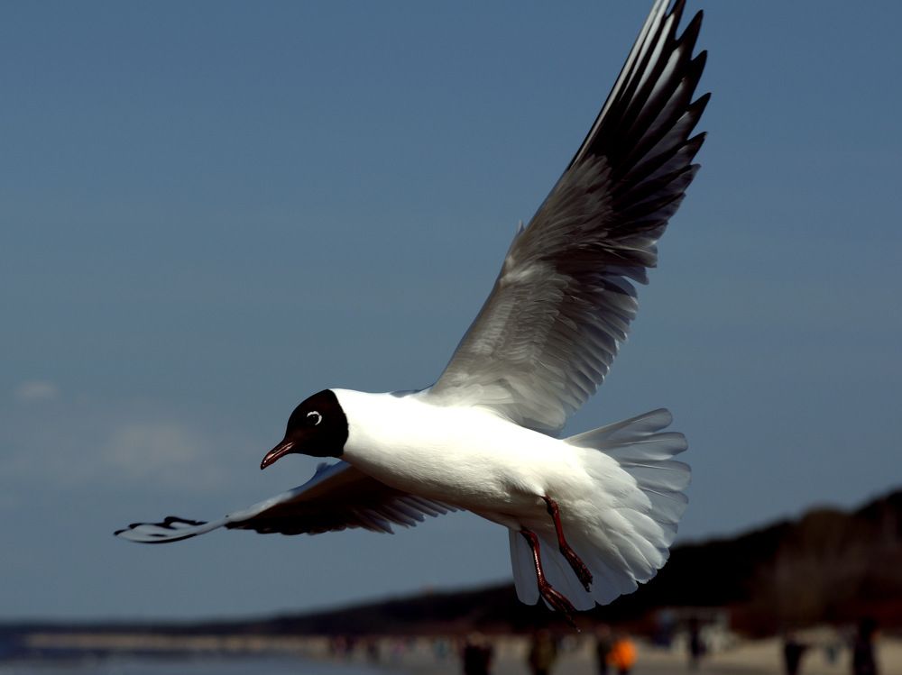 Photograph by Инна Сенкевич