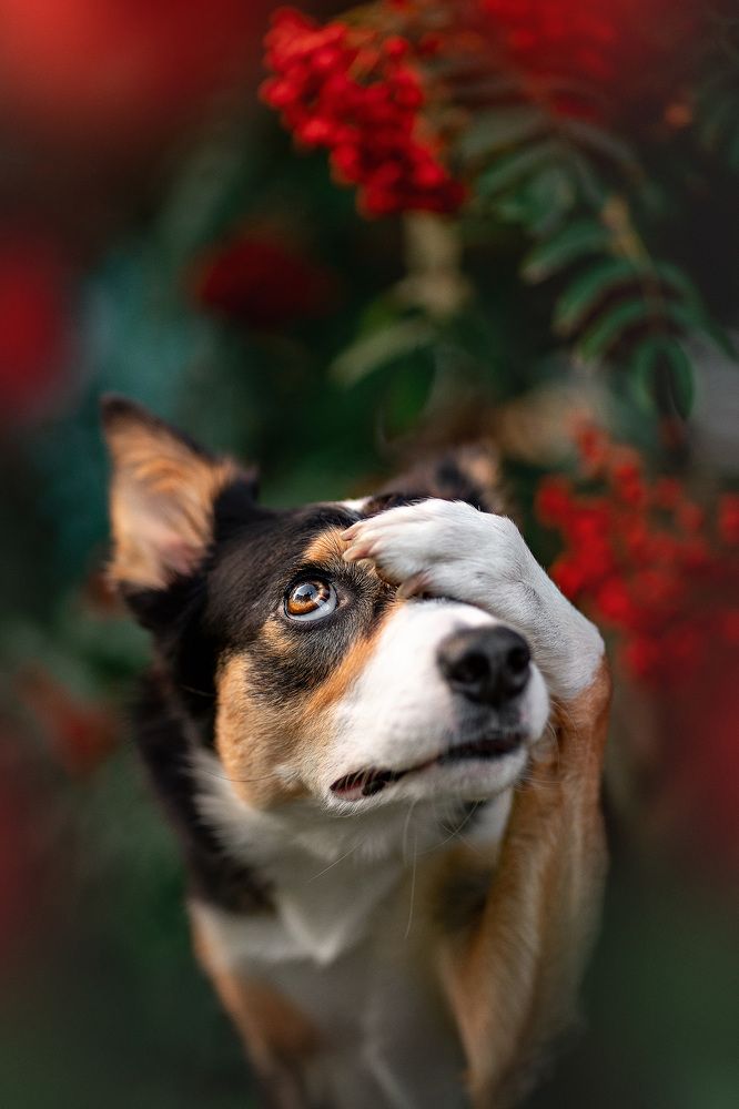 Фотография автора Оксана Серова