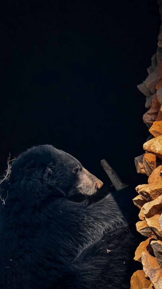 Фотография автора Aadi Saxena