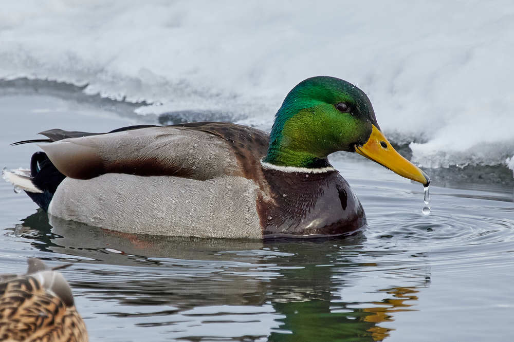 Фотография автора Дмитрий Смирнов