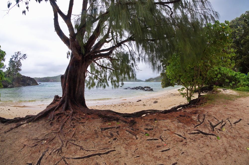 Фотография автора Юрий Кольцов