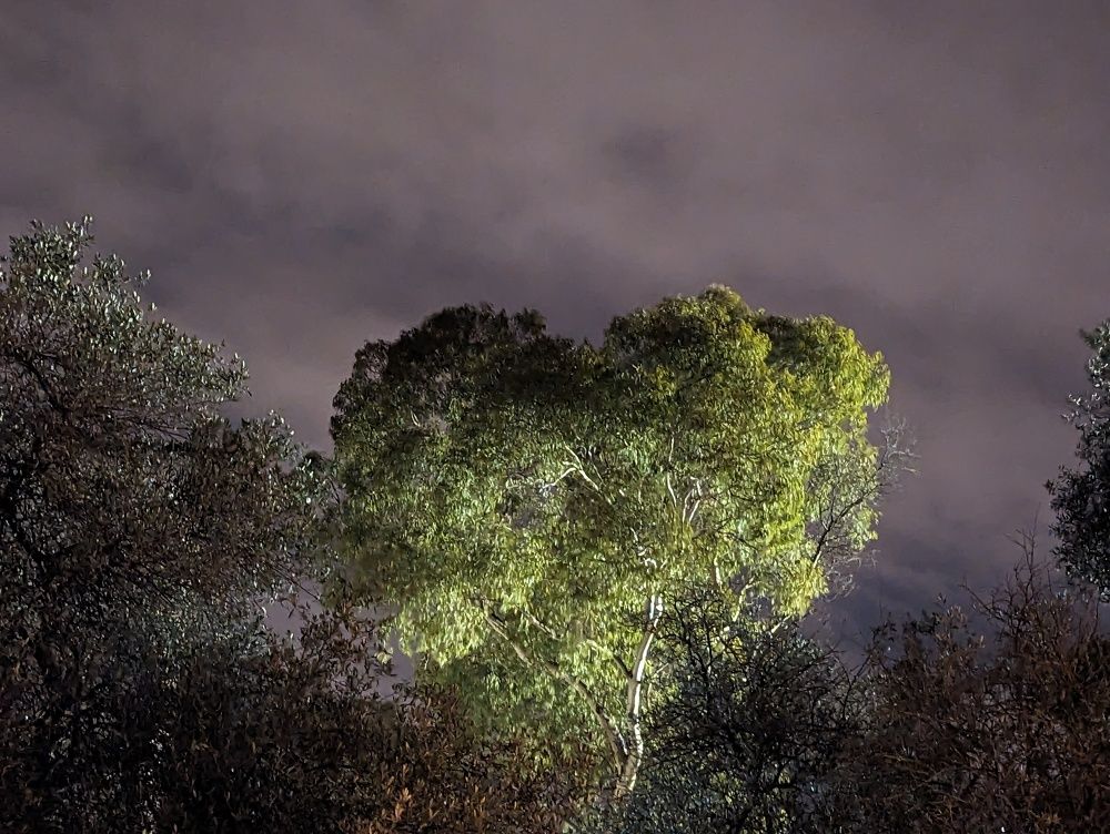 The Heart of Lisboa at night