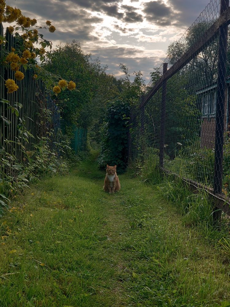 Photograph by Наталия Игоревна