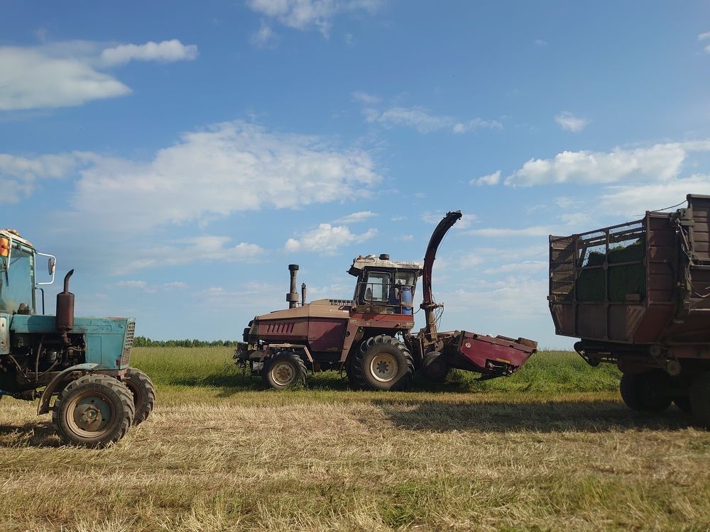 Photograph by Наталия Игоревна