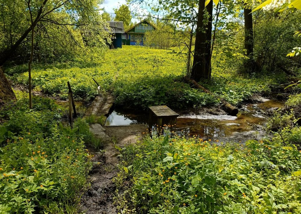 Фотография автора Татьяна Лукашева