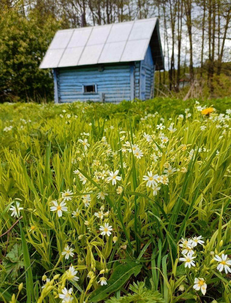 Фотография автора Татьяна Лукашева
