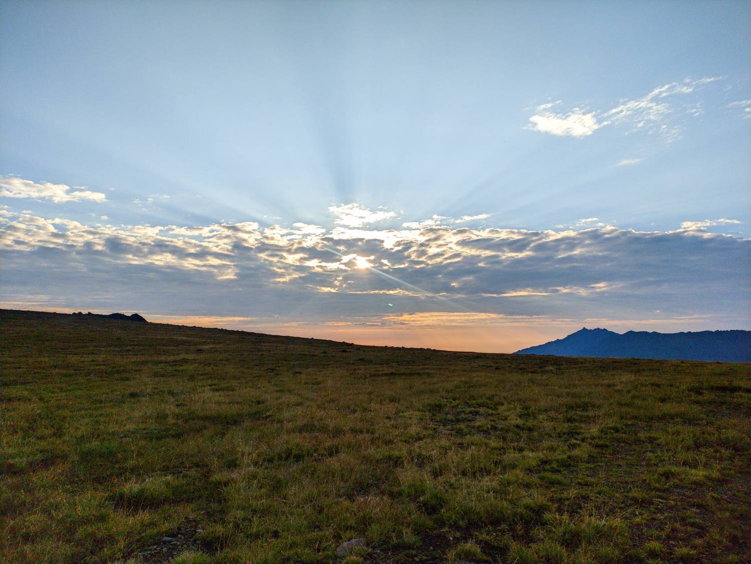Photo #10230376