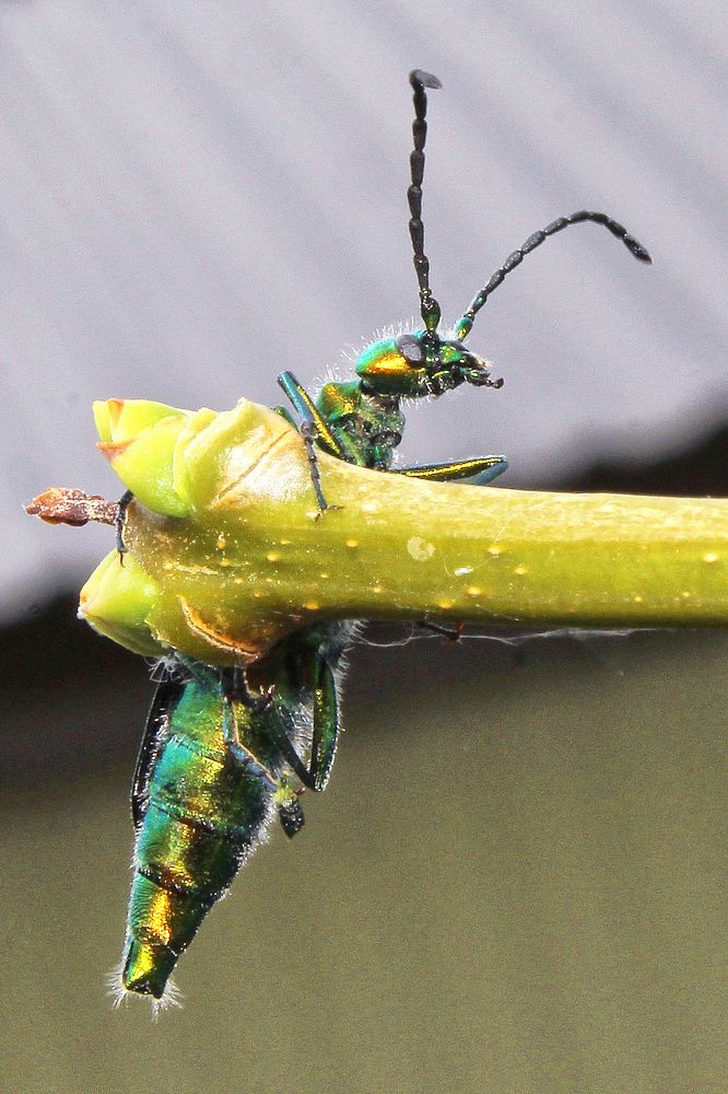 Photograph by Vitaliy Saposhnikov