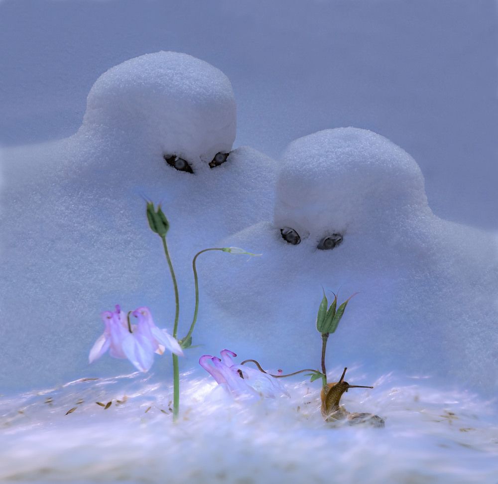 Фотография автора Черновол Валентин