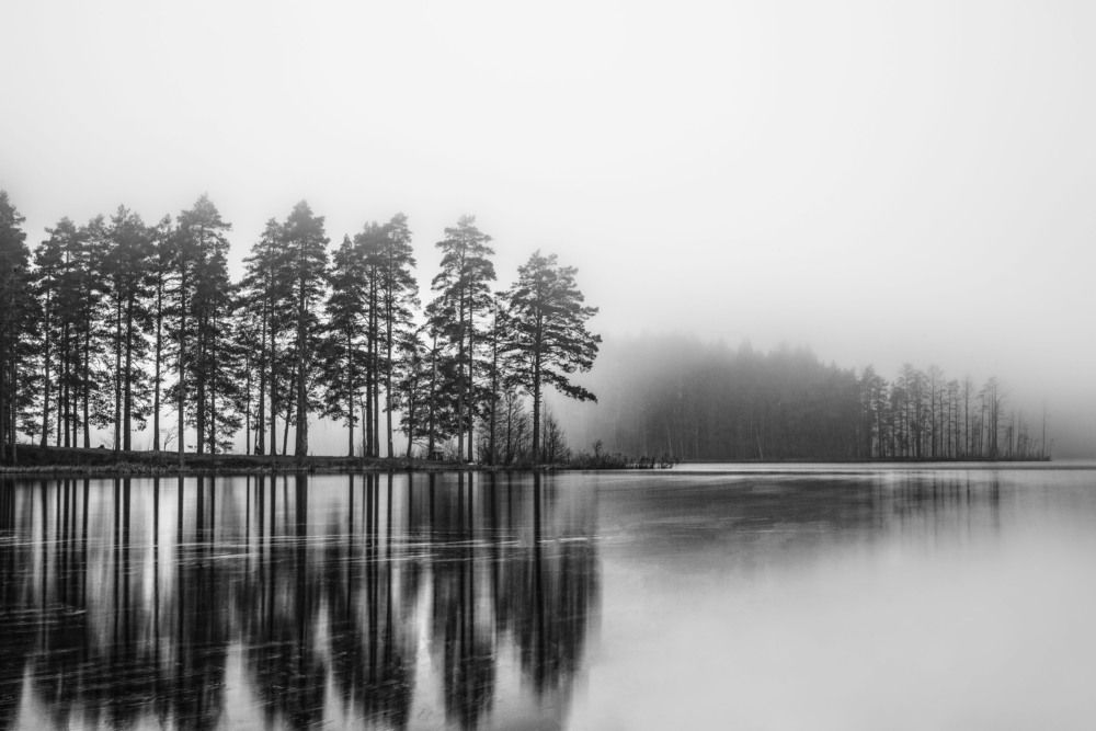 Photograph by Михаил Четвертков