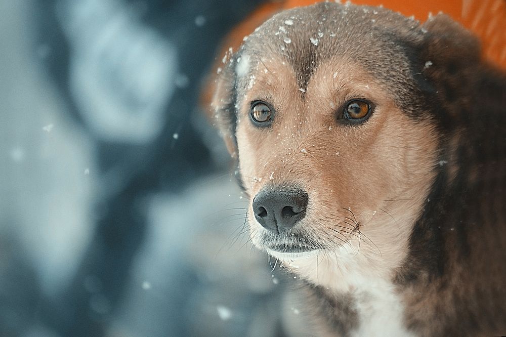 Photograph by Соколова Елена