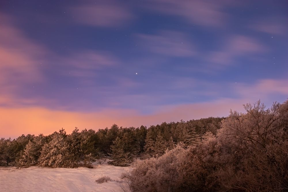 Photograph by Saba Gloveli