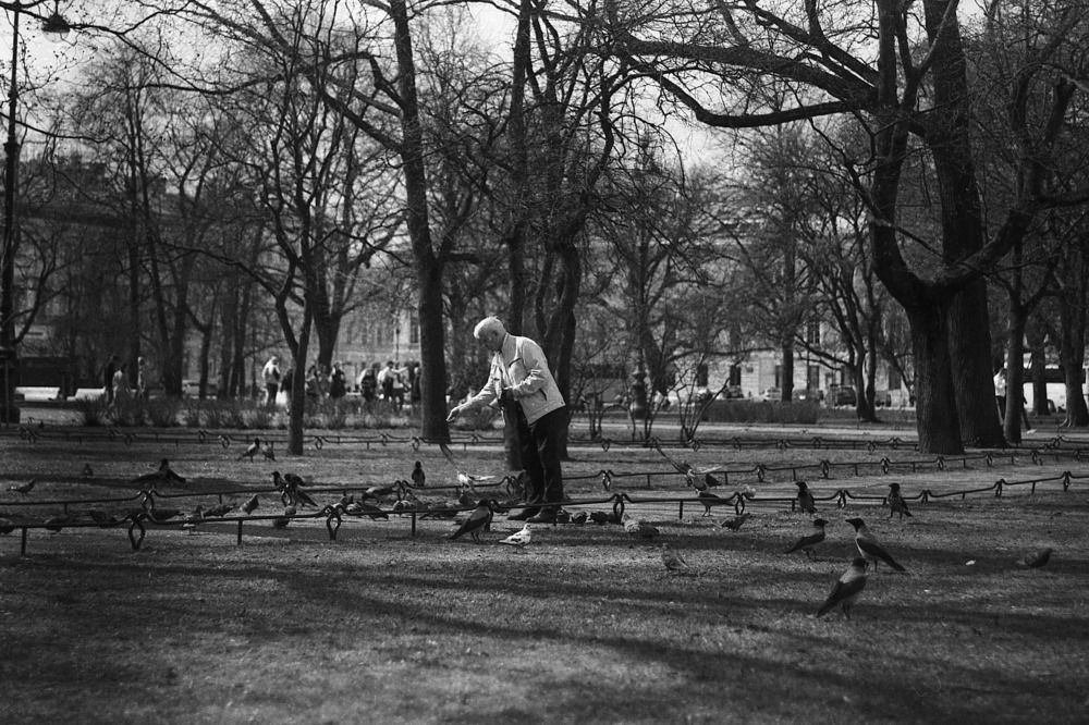 Photograph by Геннадий Балабонов