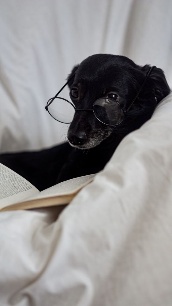 Photograph by Irina Beleva