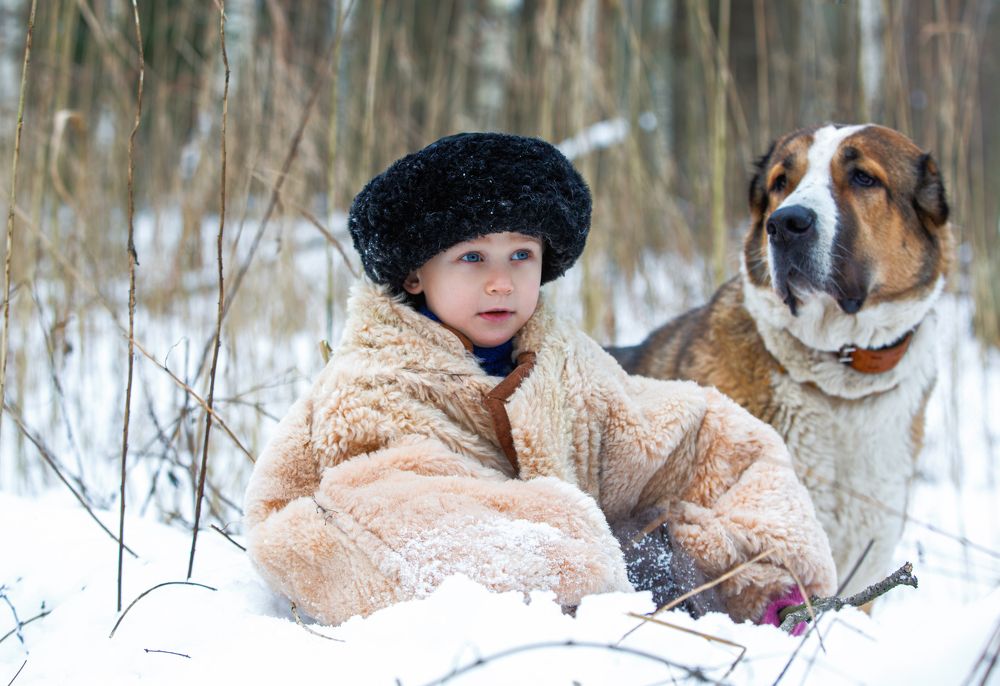 Photograph by Vitaly Vachrushev