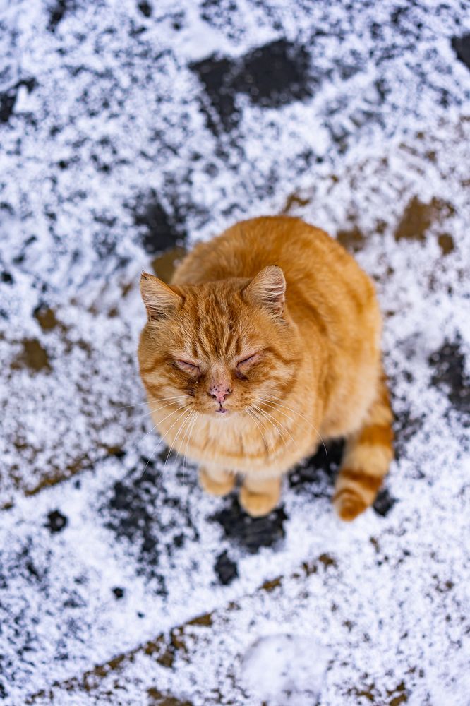 Photograph by Елена Осокина