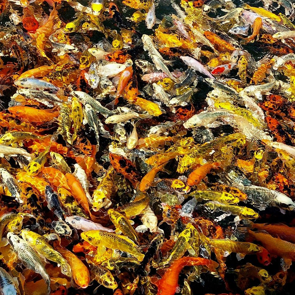 Photograph by Мария