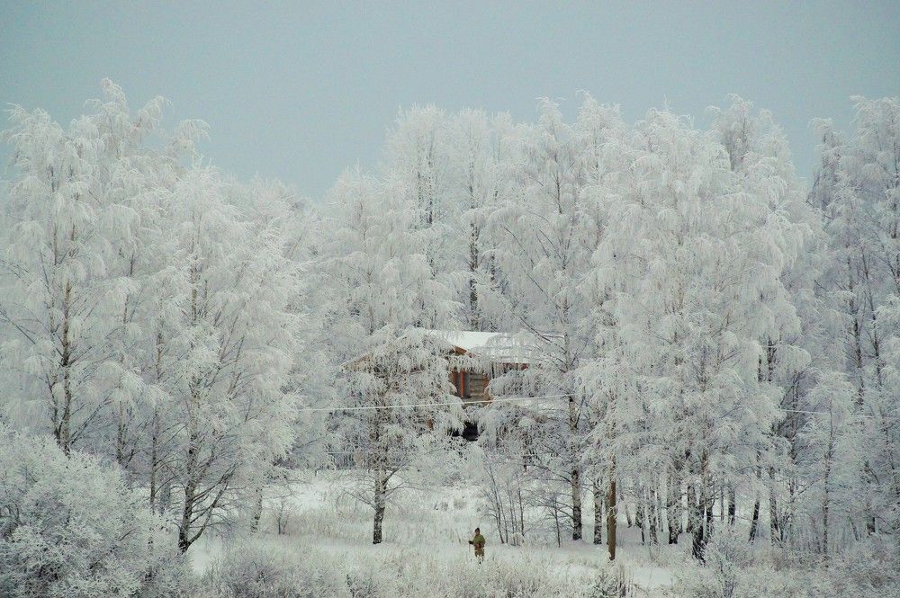 Photograph by Светлана Трушкова